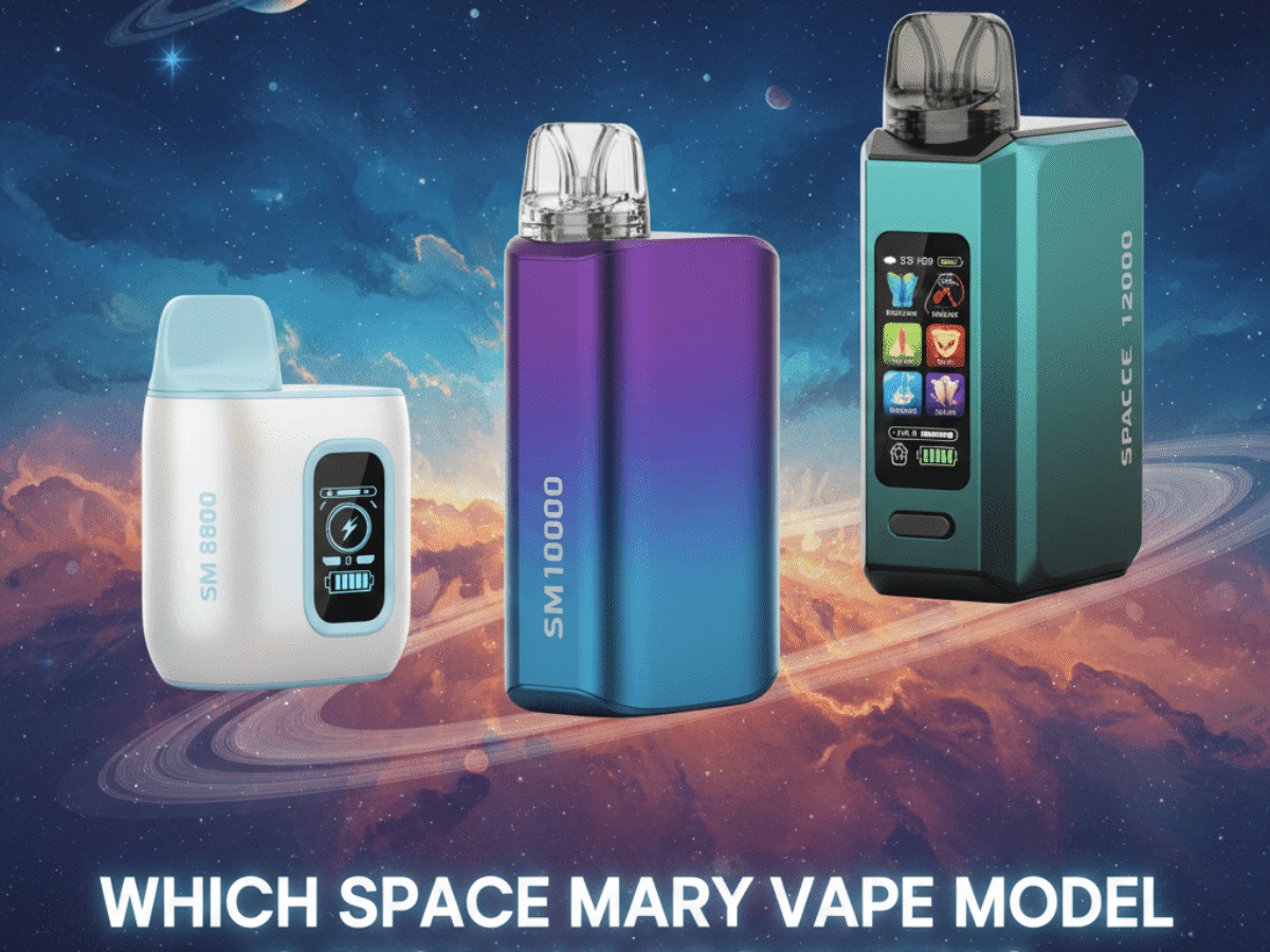 Space Mary Charger Instructions Space Mary MA25000 Disposable Vape | 3 Modes 
