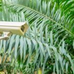 Outdoor Cameras Improve Residential Safety Standards