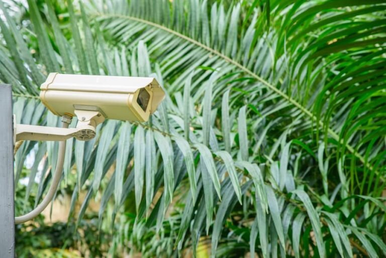 Outdoor Cameras Improve Residential Safety Standards